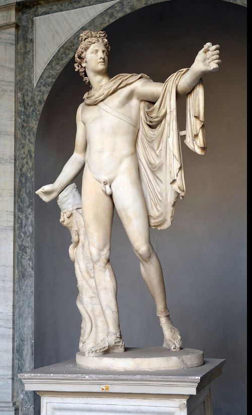 Apollon du belvedere musee vatican rome